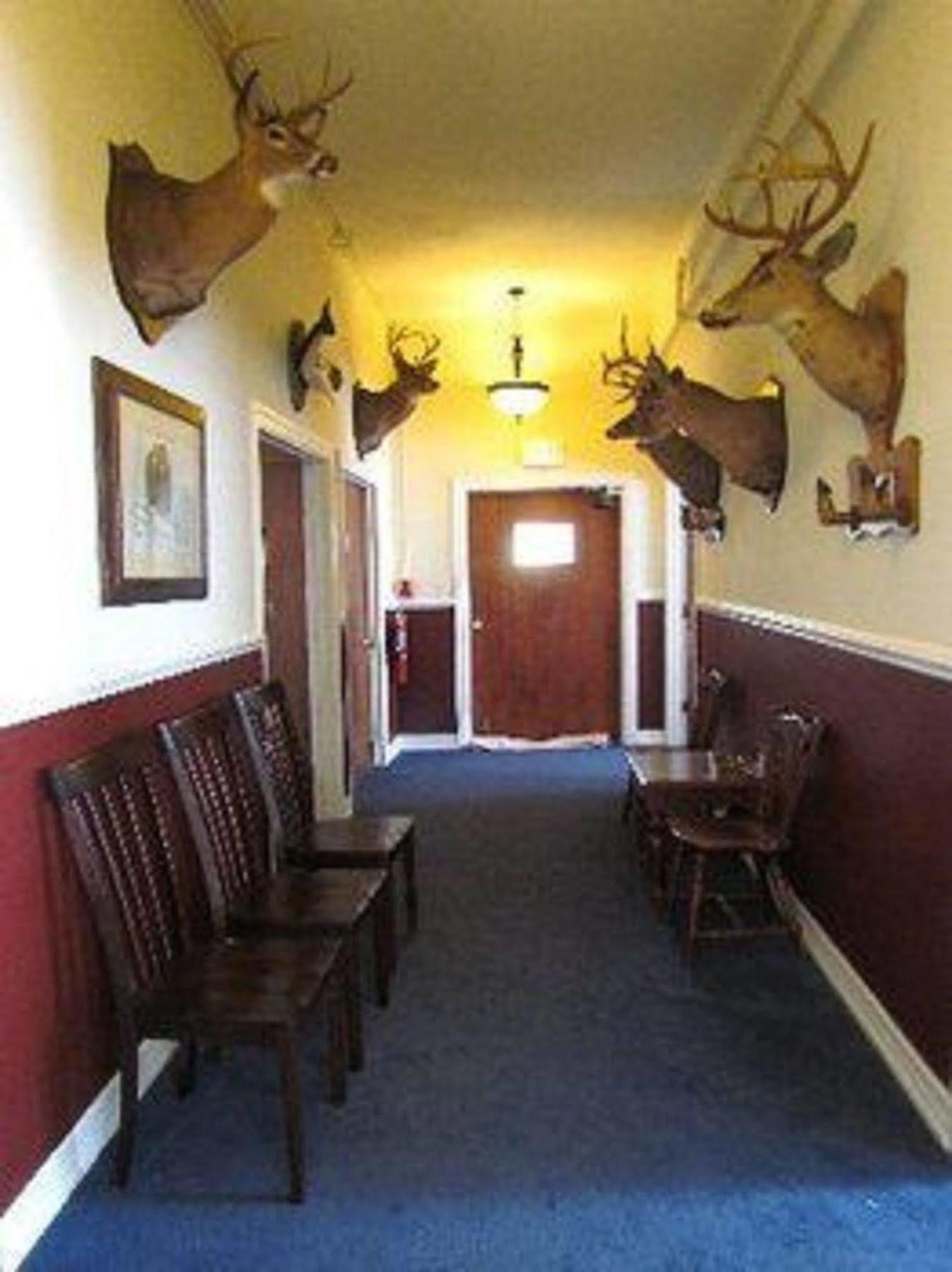 Macarthur Inn Narrows Exterior foto